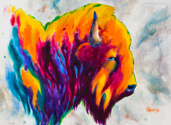 Bison Dream for notecard