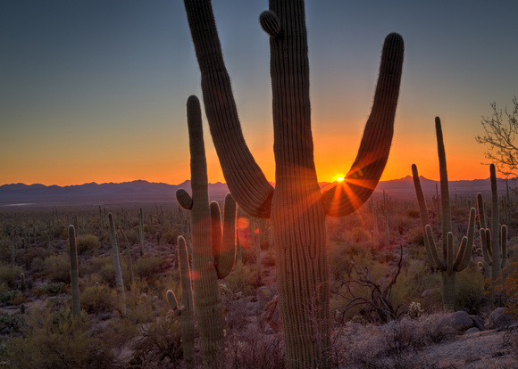 A typical day in AZ! At Saguaro National Park (17)