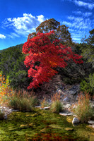 LOST MAPLES STATE PARK