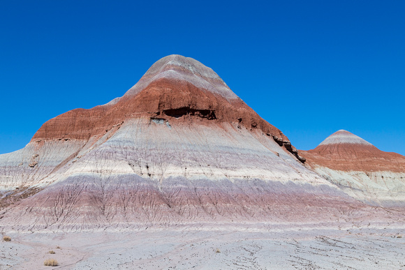 THE PAINTED DESERT (1)