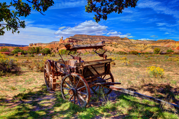 OUT WEST WAGON (2)